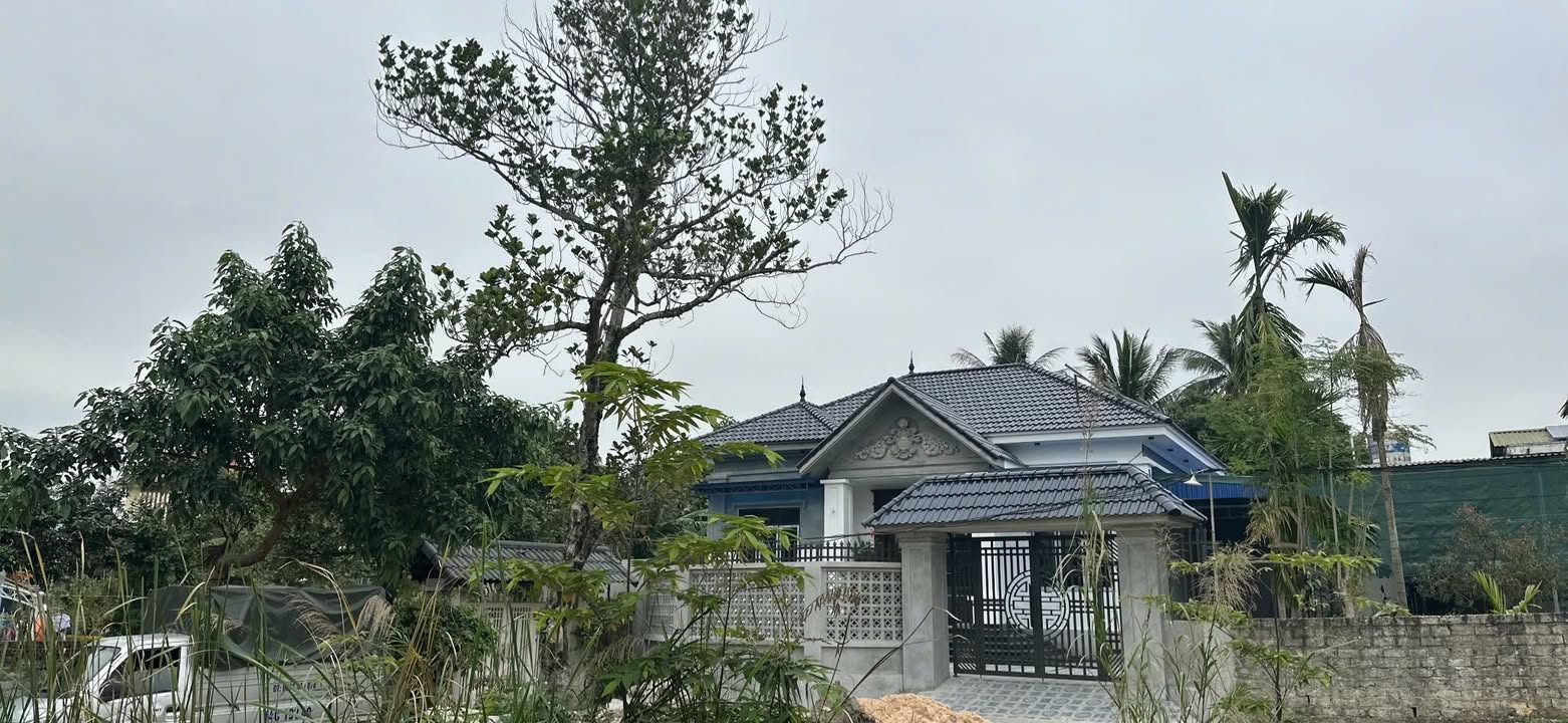 Đất nền Cô Tô 85m² giá 7xx triệu - Đường to ô tô tận nơi!