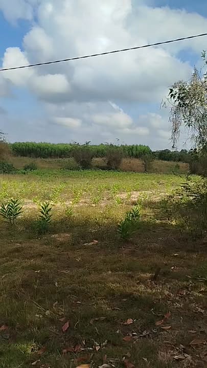 Đất nền Xã Phú Ngọc, Định Quán 10000m² - Sổ đỏ chính chủ!