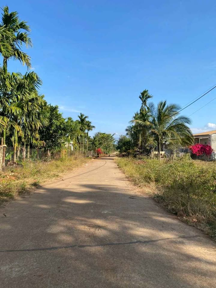 Đất nền Cư Pui Krông Bông 168m² - Sổ đỏ chính chủ!