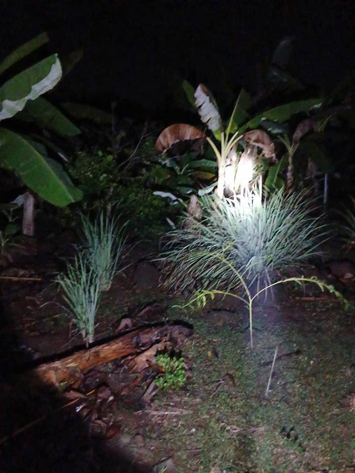 Đất nền Ngọc Định, Đồng Nai 100m² sổ đỏ - Giá 520 triệu bao tách sổ