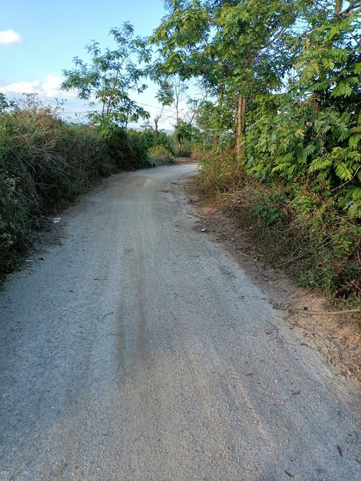 Bán Gấp Đất Vườn Chư Păh, Gia Lai - 2.592m² Giá Chỉ 1.079 Tỷ