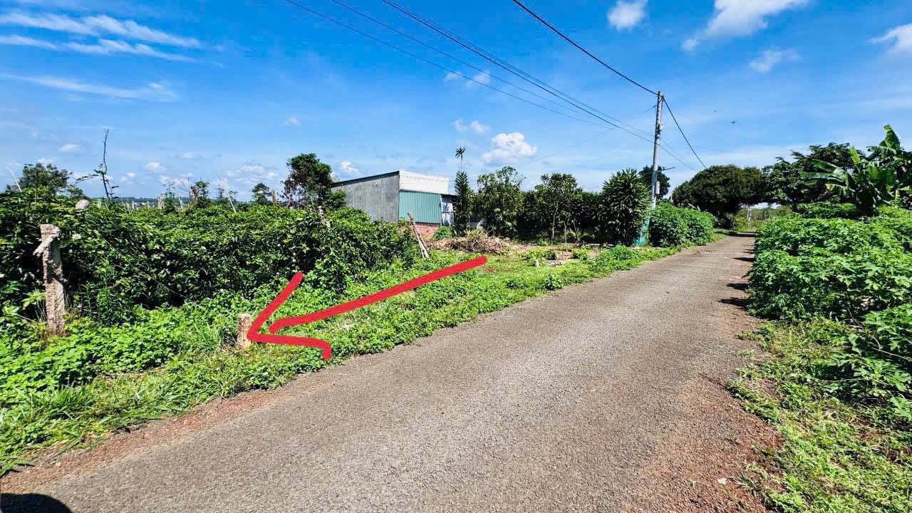 Đất Biển Hồ, Pleiku 150m² - Sổ Hồng Sẵn Sàng, Giá Chỉ 5.x Tỷ