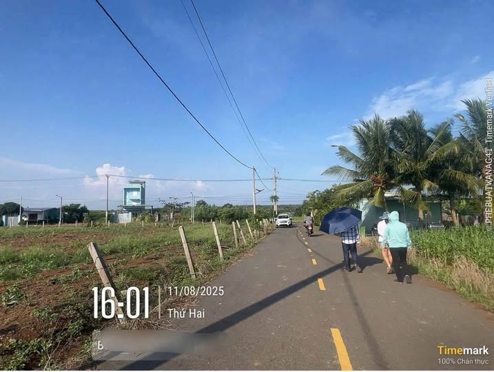 Đất nền Láng Dài, Đất Đỏ: 122m² Sổ Đỏ Giá Ngộp 545 Triệu