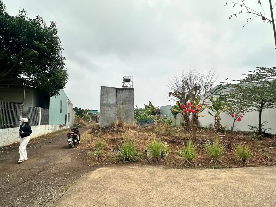 Đất nền Phú Riềng 242m² - Lô góc ngã tư, Tiềm năng tăng giá!