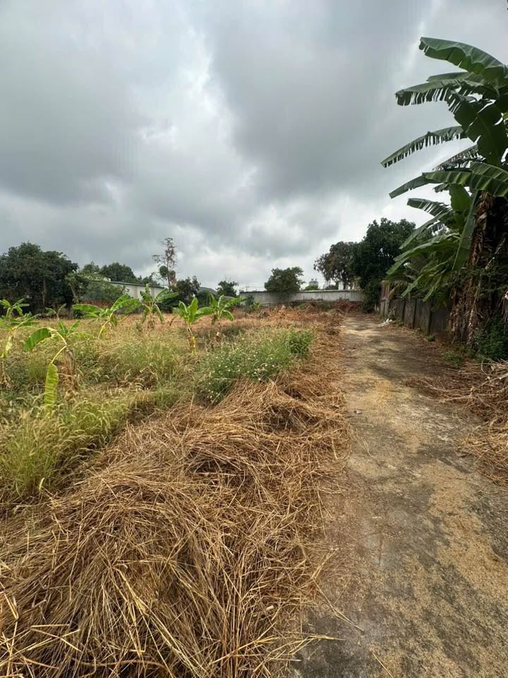 Bán Gấp 2 Lô Liền Kề Phước Bình, Đồng Xoài - 900m² Sổ Đỏ, Giá 6 Tỷ