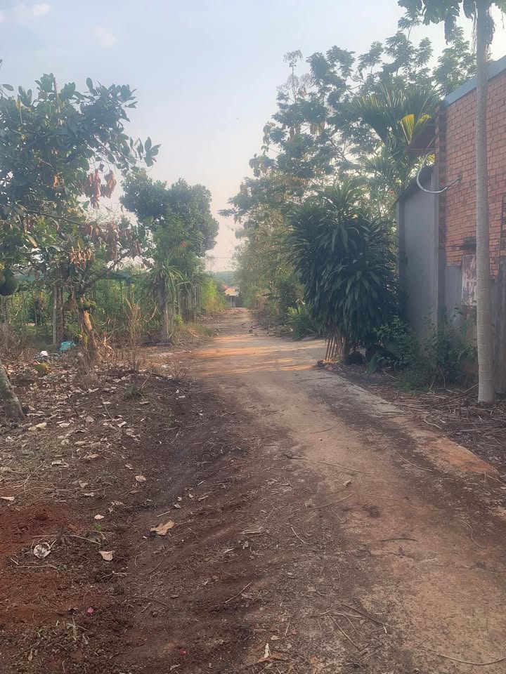 Đất nền Bù Đốp 500m² - Sổ đỏ chính chủ, tiềm năng tăng giá!