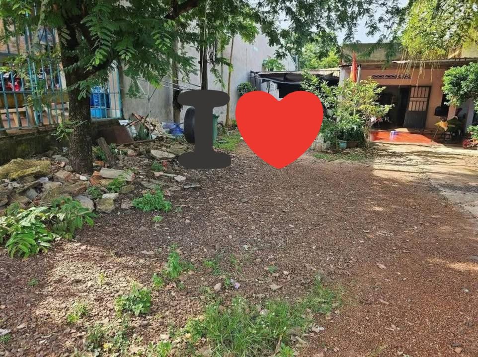 Đất nền Thanh Hòa, Bù Đốp 1500m² - Sổ đỏ chính chủ, tiềm năng sinh lời!