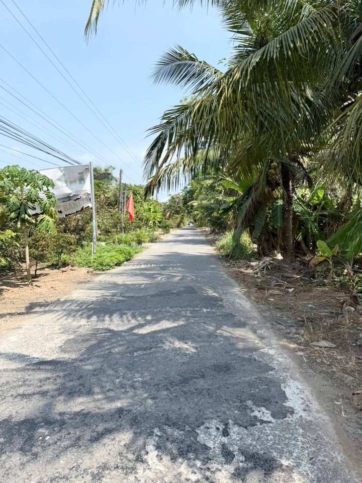 Đất Nền Xã Tân Hiệp, Châu Thành 1157m² 1.3 tỷ - Đường ô tô vào tận nơi!