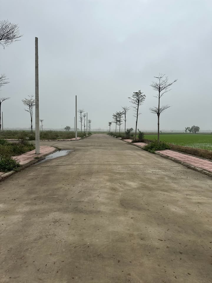 Đất đấu giá Phong Triều Phú Xuyên 81m² - Sổ đỏ sẵn sàng - Ô tô tránh