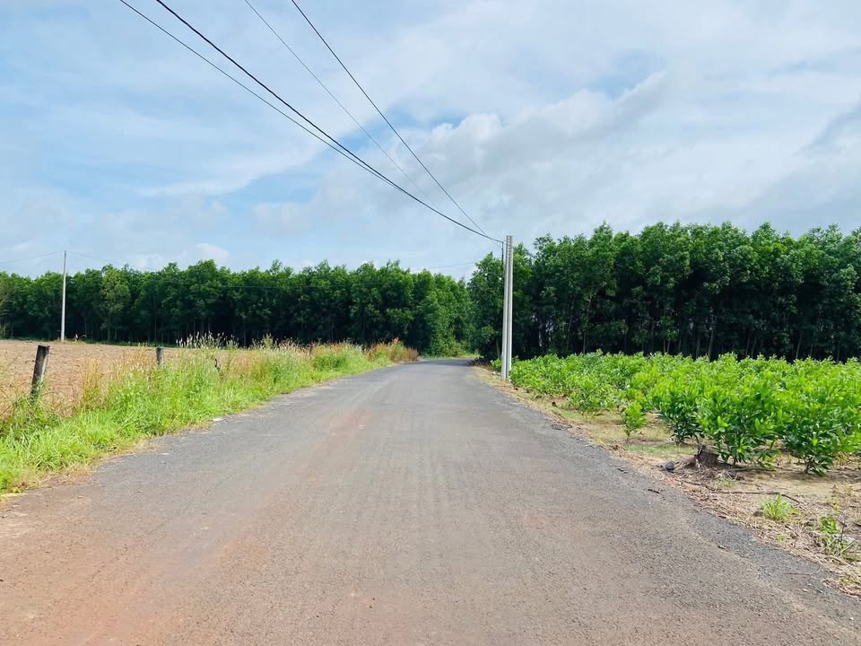 Đất Vườn Xuyên Mộc 1165m² - Mặt Tiền Nhựa Gần Biển Hồ Cốc