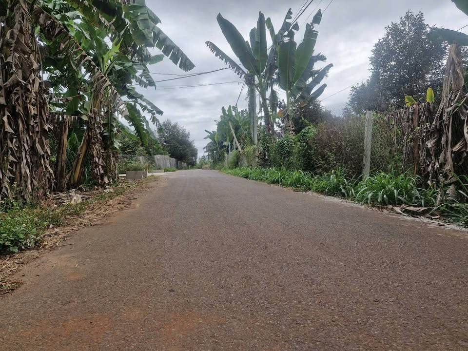 Đất nền Láng Lớn 360m² 1.6 tỷ - Sổ đỏ chính chủ, xây dựng ngay!