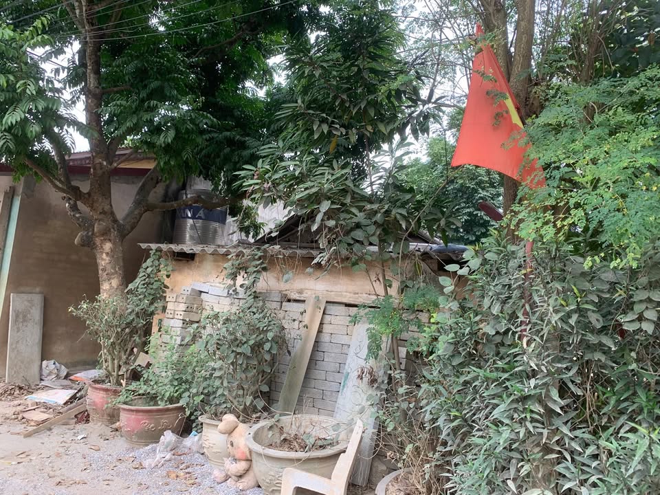 Bán Đất Thị trấn Bố Hạ, Yên Thế, Bắc Giang - 200m², MT 8m, Tách 2 Lô