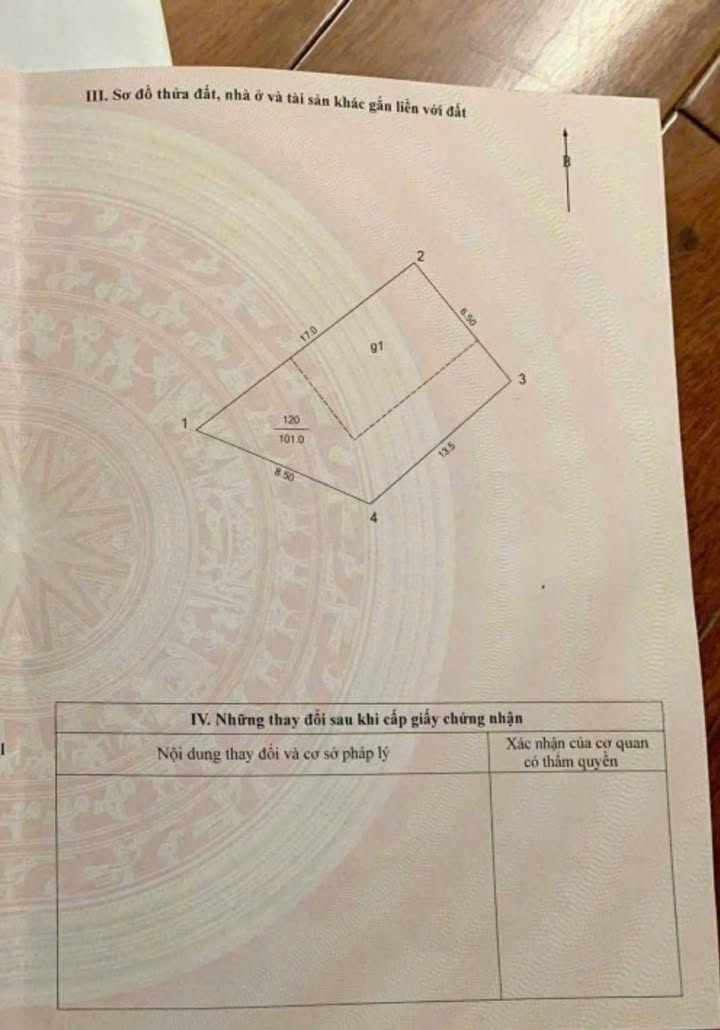 Nhà Mặt Phố Khương Đình, Thanh Xuân - 101m², 44 Tỷ, Kinh Doanh Đỉnh Cao