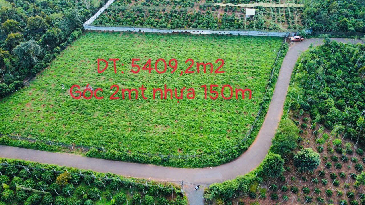 Đất nền Phường Cư Bao 5409m² – Sổ đỏ chính chủ, Tiềm năng tăng giá!