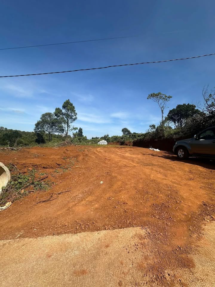 Đất Thổ Cư Đắk Nông 224m² - Vị Trí Đắc Địa, Sổ Hồng Sẵn Sàng