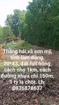 Bán Đất Nền Sơn Mỹ, Bình Thuận 860m² Sổ Hồng Riêng