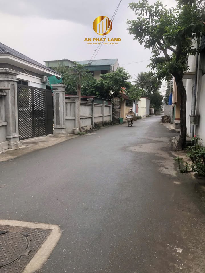 Bán Đất Thổ Cư 87m² Thôn Thượng, Ninh Bình - Sổ Đỏ Sẵn Sàng