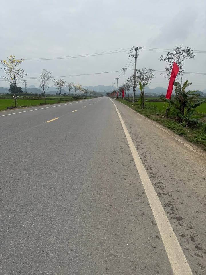 Đất nền 213m² Yên Thắng, Tam Điệp - Gần Sân Golf Hoàng Gia, Giá Đầu Tư