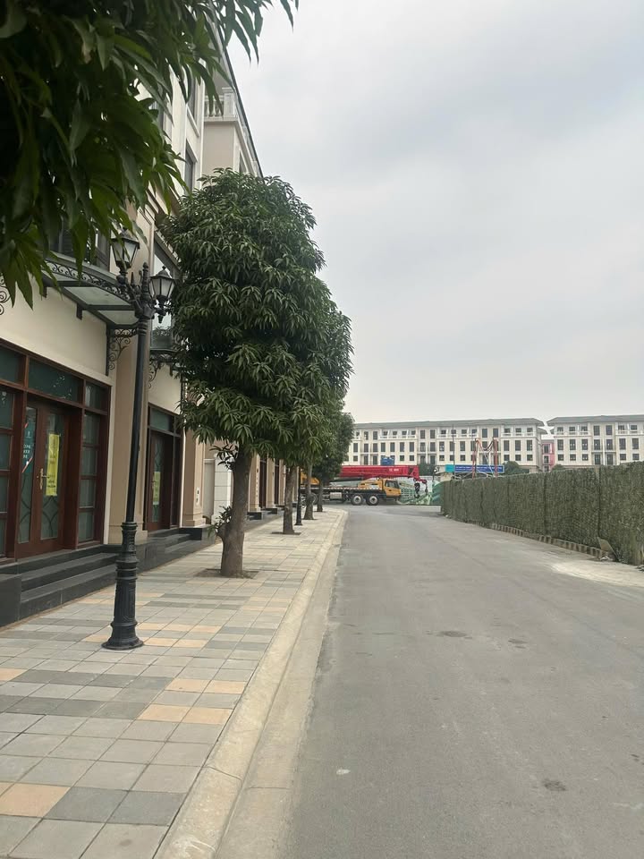 Shophouse Vinhomes Ocean Park 75m² - Đối diện sảnh chung cư, đầu tư sinh lời ngay!