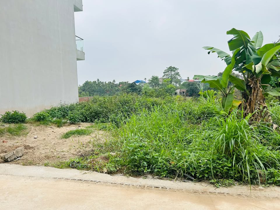 Đất nền Phúc Hoà, Phúc Thọ 44m² - Pháp lý rõ ràng, sổ đỏ trao tay!