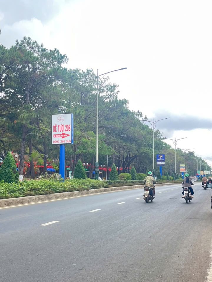 Nhà Mặt Tiền Tôn Đức Thắng, Pleiku 62m² - Giá 3 Tỷ Hời!