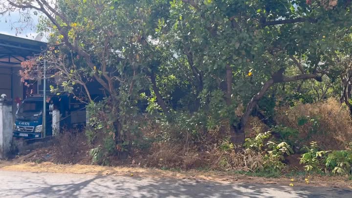 Đất Vàng Ia Tô, Gia Lai - 230m² Sổ Đỏ Riêng, Giá Chỉ 3XX Tỷ