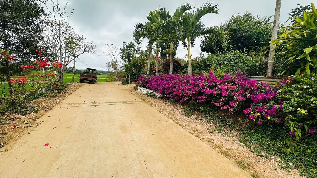 Đất nền Pleiku 335m² chỉ 500 triệu - Sổ đỏ chính chủ