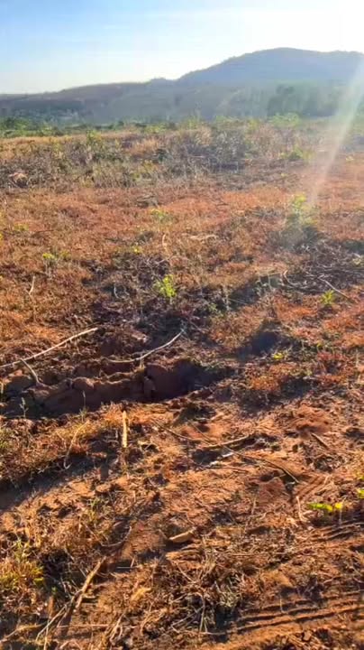 Bán Gấp Đất Farm 19.000m² Xã Đăk Krong, Gia Lai - Sổ Đỏ Sẵn Sàng