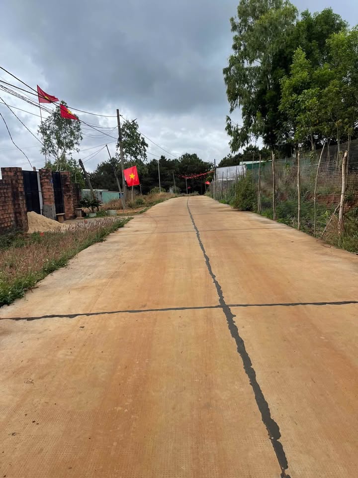 Đất nền Phường Diên Hồng Pleiku 250m² - Sổ đỏ chính chủ!