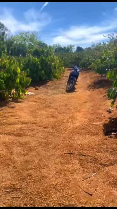 Đất Rẫy Cà Phê 1.2ha Đăk Đoa, Gia Lai - Sổ Đỏ Chính Chủ, Giá 2.65 Tỷ