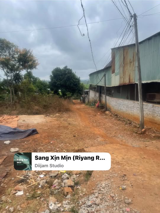 Đất nền Pleiku Nguyễn Chí Thanh 155m² 390 triệu - Sổ đỏ chính chủ