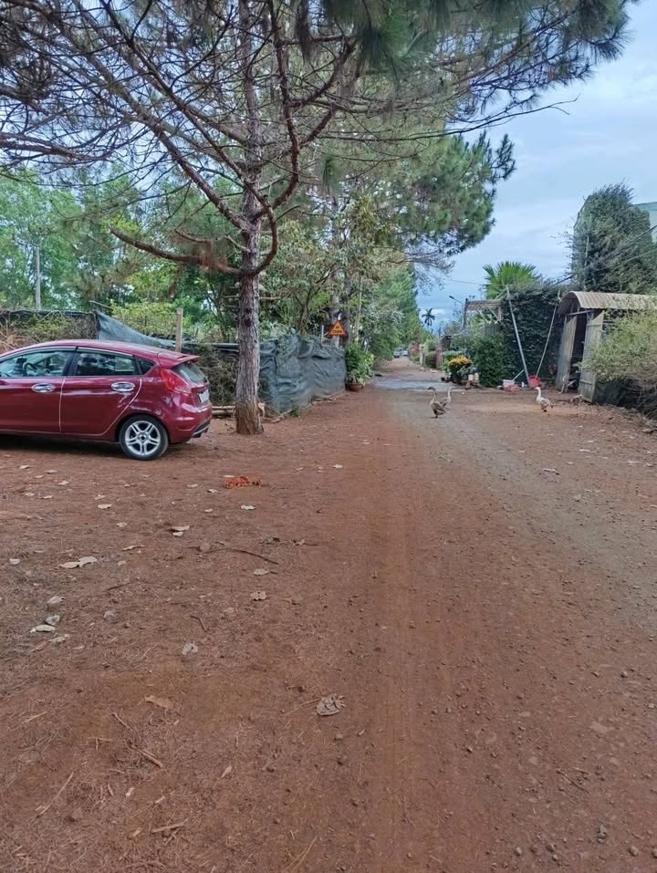 Đất nền Hẻm Nguyễn Chí Thanh Pleiku 100m² giá 15 tỷ - Sổ đỏ chính chủ!