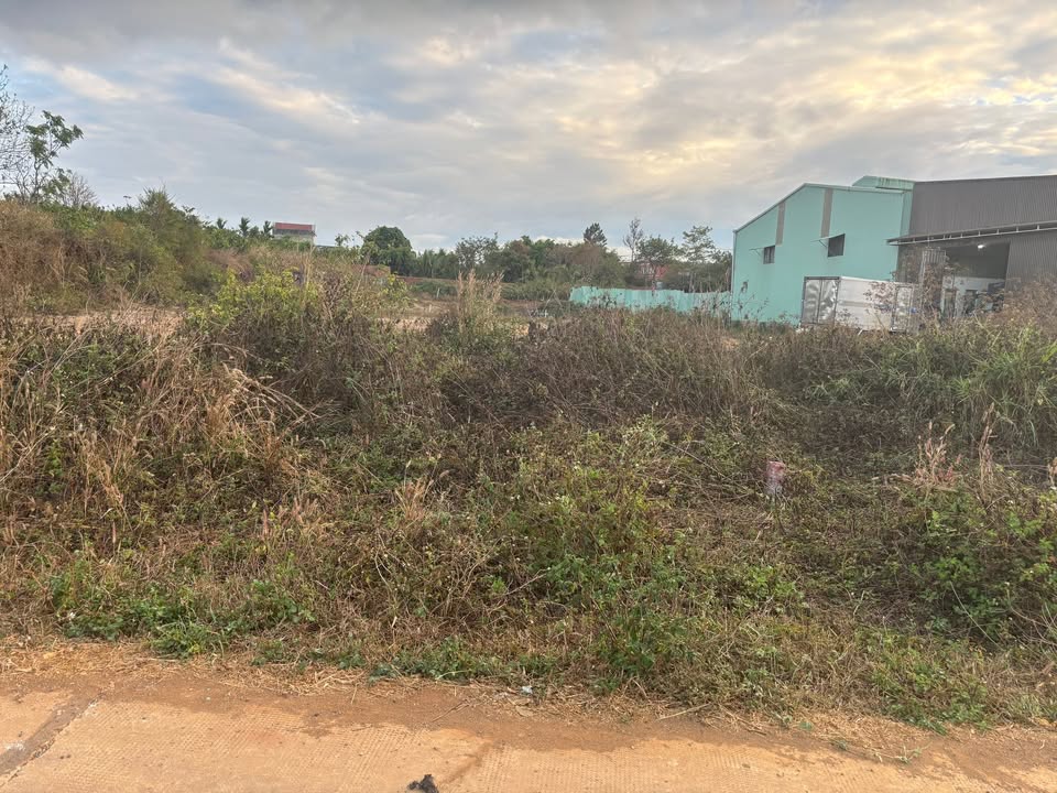 Đất Nền 155m² Hẻm Chính Hàm Nghi, Pleiku - Sổ Đỏ Vuông Vức, Xây Dựng Ngay