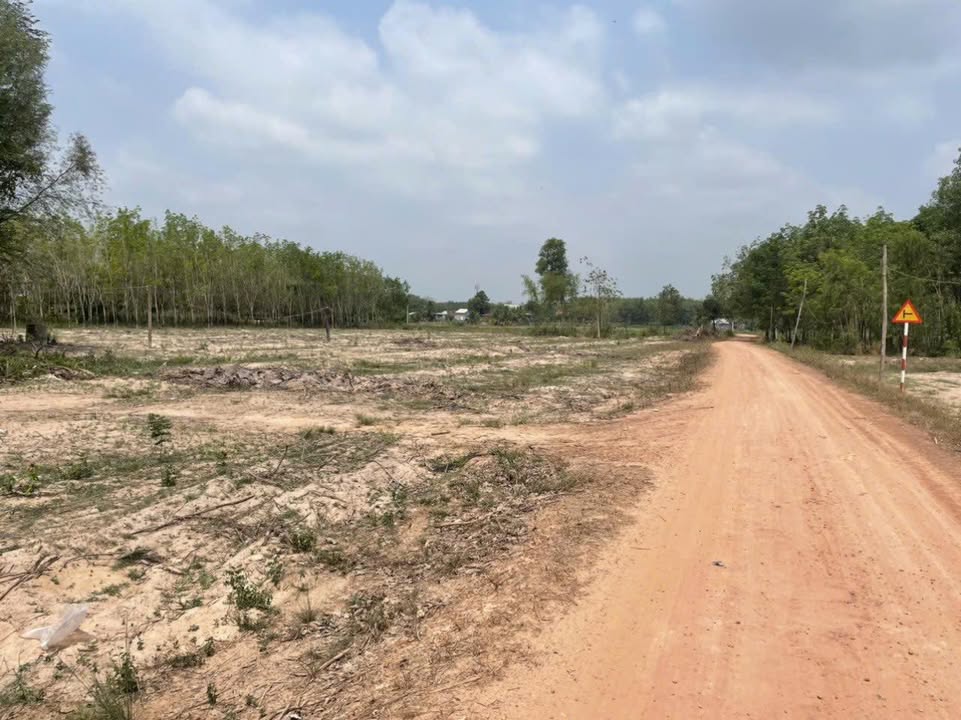 Bán Gấp Đất Tân Phong, Tân Biên 160m² - Giá Đầu Tư 140 Triệu