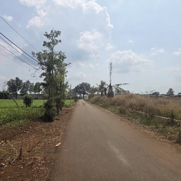 Đất nền Bình Giã, Châu Đức - Sổ đỏ 80m² thổ cư, giá từ 820 triệu