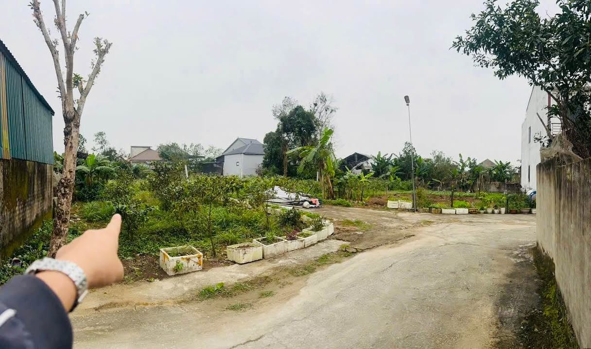 Đất nền Nghi Phú, TP Vinh 50m² - Tiềm năng tăng giá vượt trội!