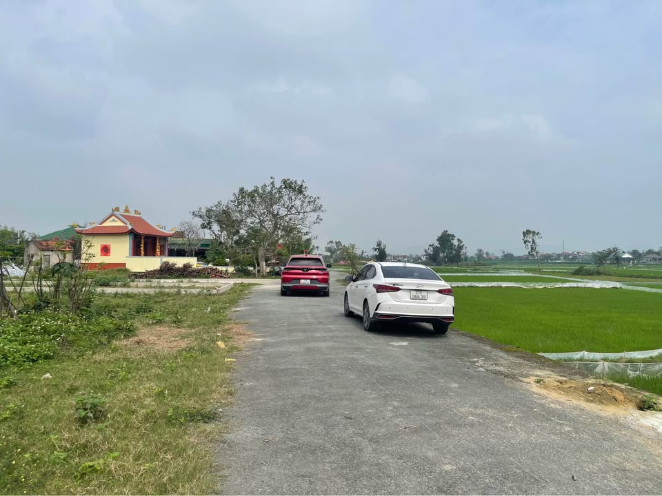 Lô đất Nghi Trường 105m² hơn 1 tỷ - Tiềm năng tăng giá vượt trội!