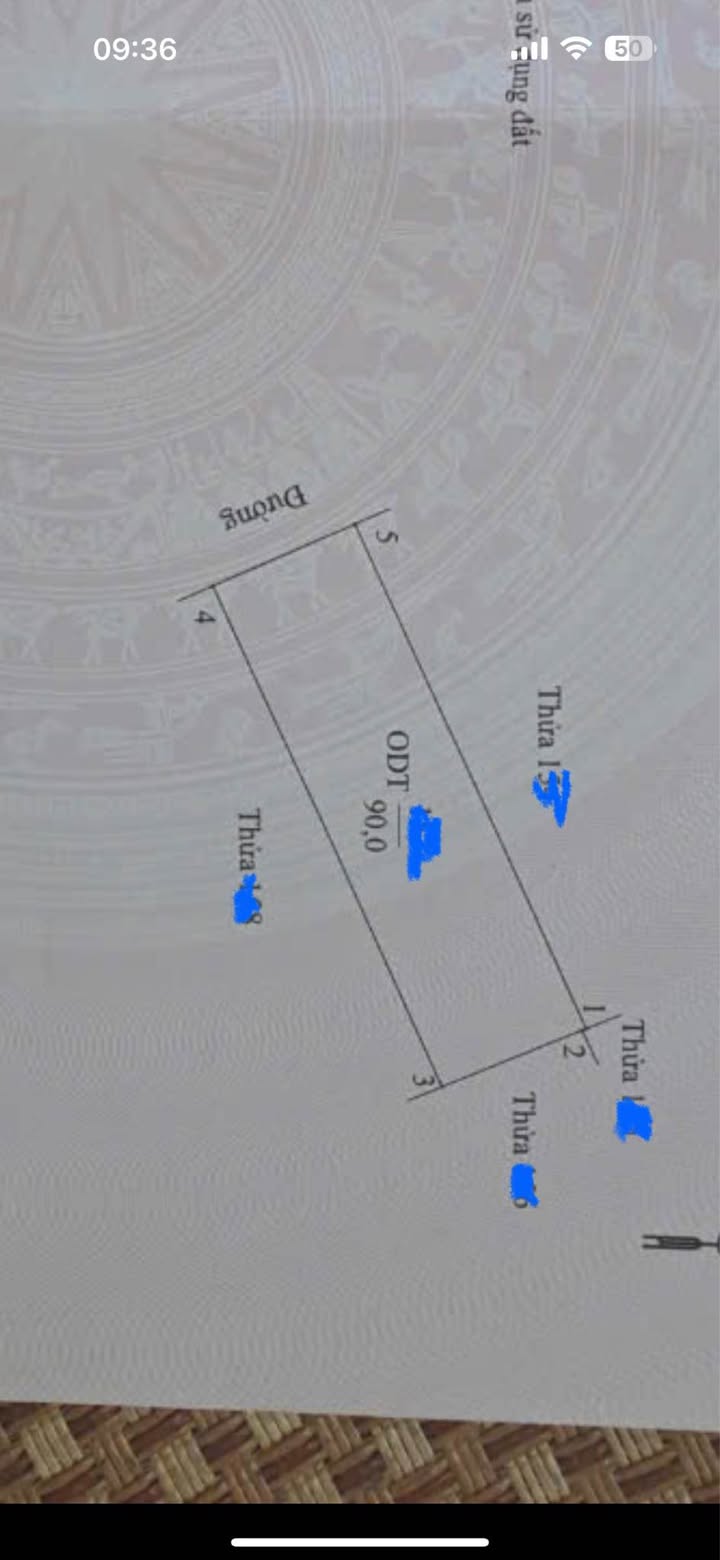 Đất nền 90m² Lê Thái Tổ, Tam Điệp - Vị trí đắc địa, tiềm năng vàng!