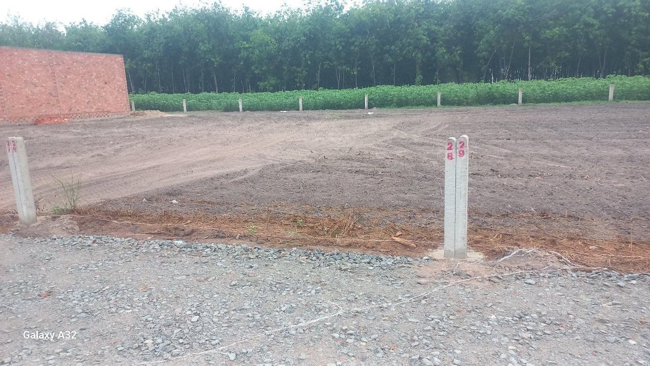 Đất nền Tân Phước 140m² chỉ 280 triệu - Tiềm năng tăng giá vượt trội!