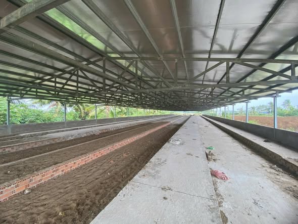 Trang trại Mỹ Xuyên, Sóc Trăng 20.247m² - Sổ hồng chính chủ!