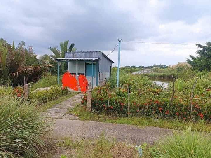 Đất Vườn Cà Mau 12.679m² - Sinh thái xanh, đầu tư dài hạn