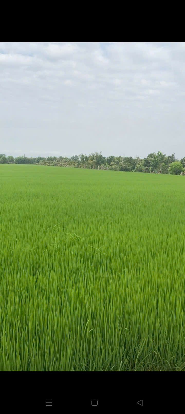 Đất nền Giang Thành, Kiên Giang 23000m² - Sổ đỏ chính chủ!