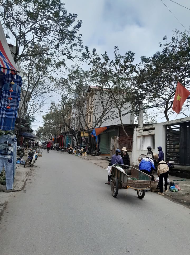 Nhà Phố Tam Quan, Tam Đảo 88.4m² - Mặt tiền kinh doanh đắc địa!