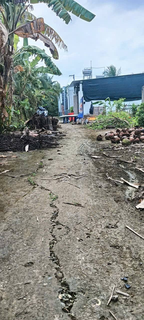 Đất Vườn Long Hưng, Tiền Giang - 2024m² Sẵn Thu Nhập, Tiềm Năng Sinh Lời Cao