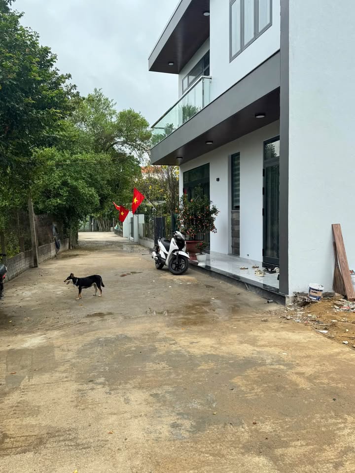 Bán Gấp 2 Lô Liền Kề Hòa Xuân Đà Nẵng - 120m²/lô - Sổ Đỏ Sẵn Sàng