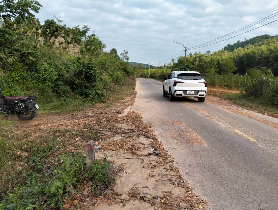 Đất Vườn Nghỉ Dưỡng Hòa Vang 3.4ha - Tặng Ghế Gỗ Trai Vàng