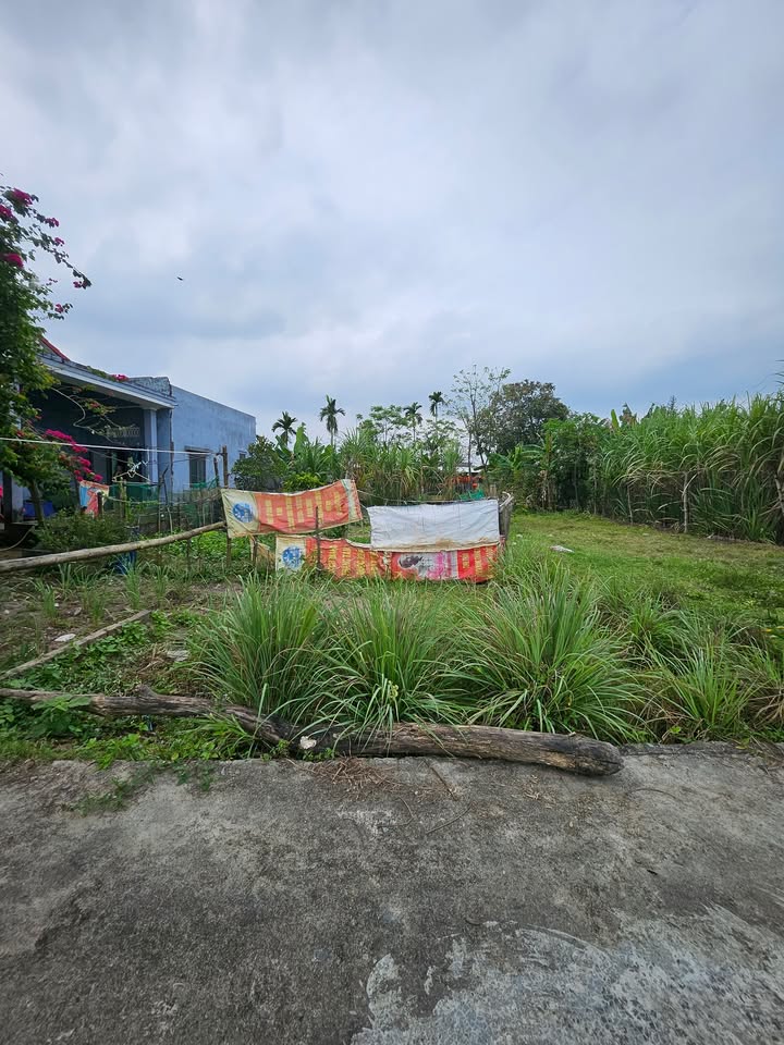 Đất Nền Điện Nam Bắc 125m² - Hướng Đông Mát Mẻ, Giá Tốt 1.45 Tỷ