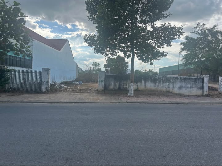 Đất nền Trần Văn Hai Đà Lạt 260m² - Sổ đỏ chính chủ, nở hậu tài lộc!