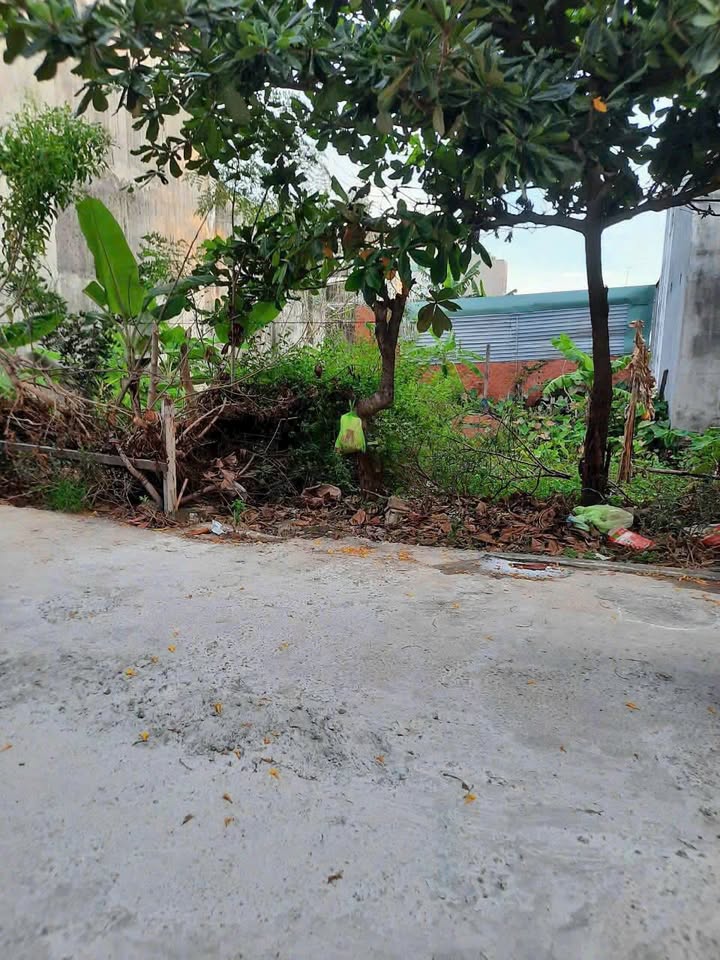 Đất nền Vũng Tàu 198m² chỉ 2.9 tỷ - Đường to ô tô tránh!