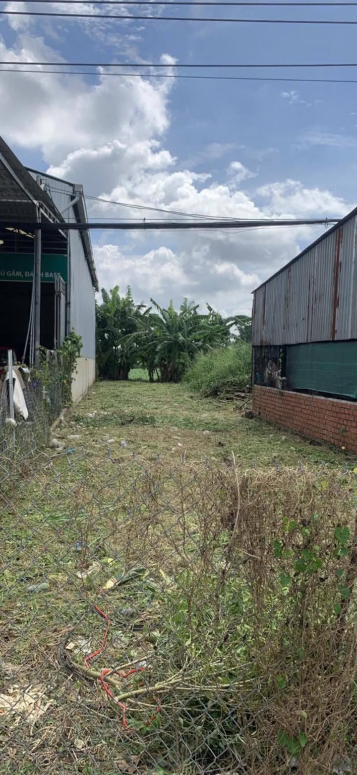 Bán đất 12480m² Quốc lộ 56, Châu Đức - Sẵn sàng kinh doanh, giá đầu tư